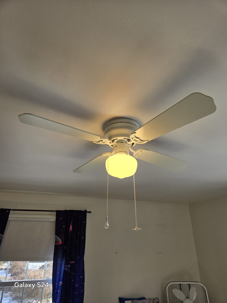 Caripides Painting - Coatesville, PA - Handymand Services - Fan Installation