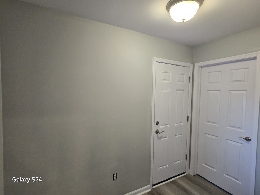 Caripides Painting - Chester County - Indoor Painting Walls and Door